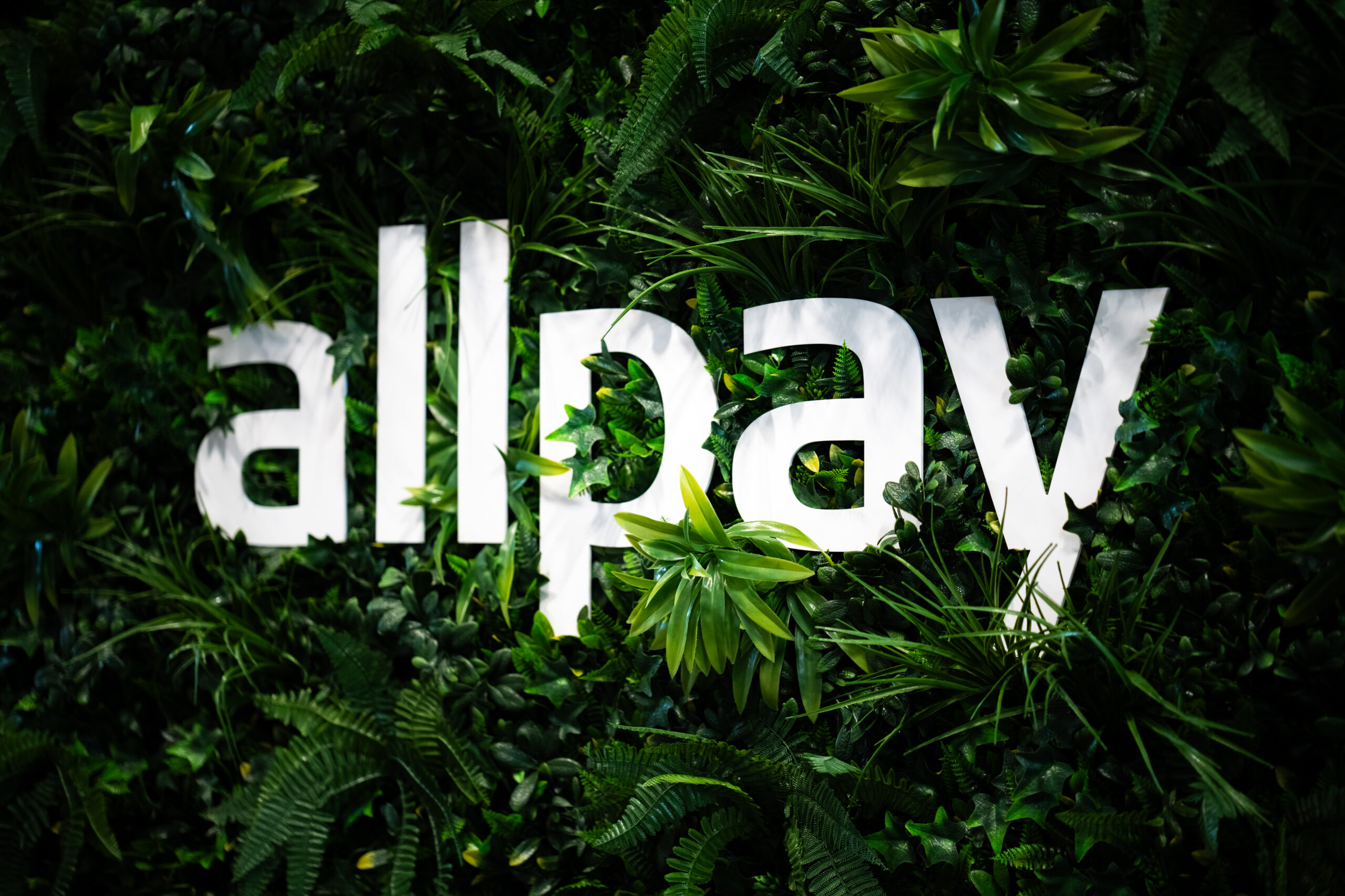 allpay’s year-end wrap-up